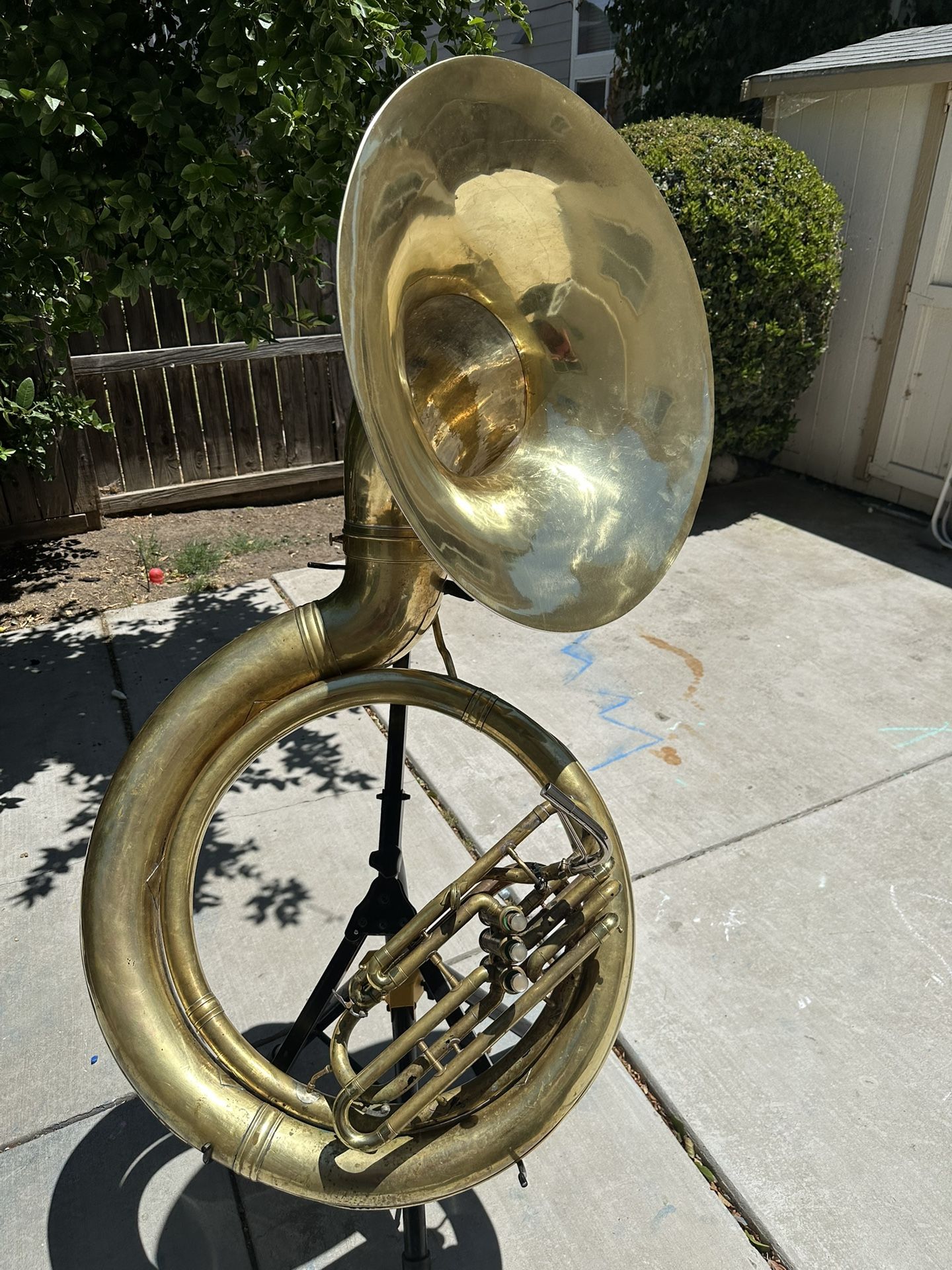 Tuba King USA