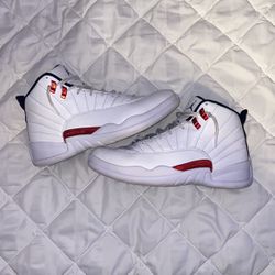 Jordan 12 “Twist” (NEED GONE)