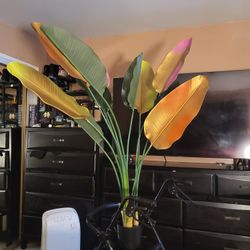 2 Fake Color Plants