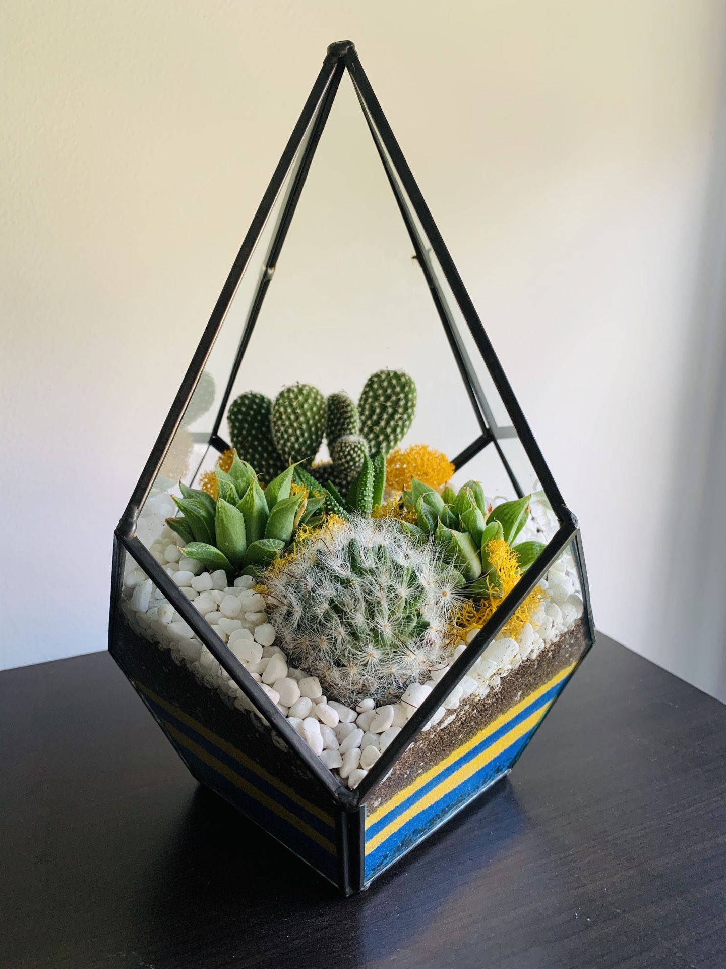 Geometric Combo Glass Terrarium