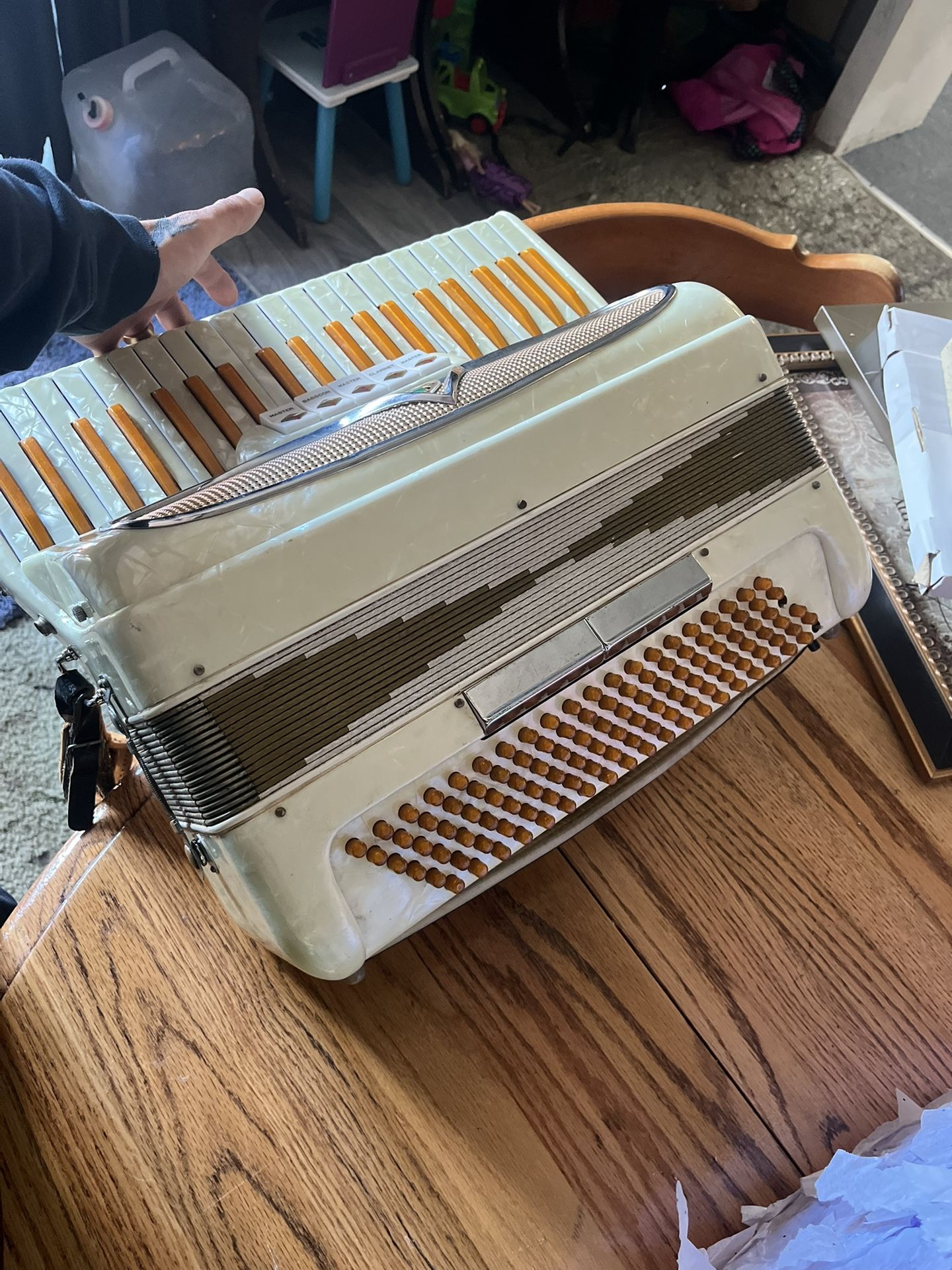 mother-of-Pearl accordion / * Make Me An Offer *