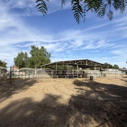 Mare Motel. Covered Stalls 