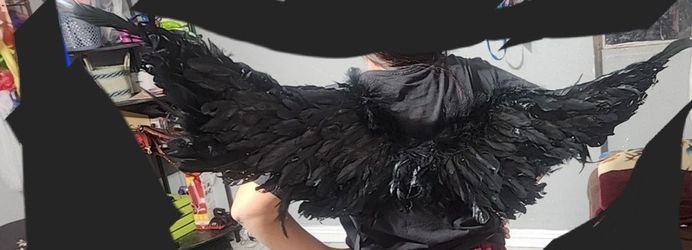 Wings And Head Band