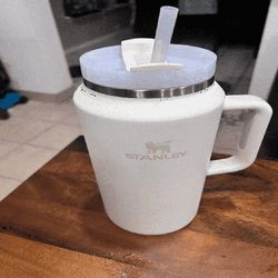 management staff Stay Refreshed in Style with Stanley Cups in Many Color Options