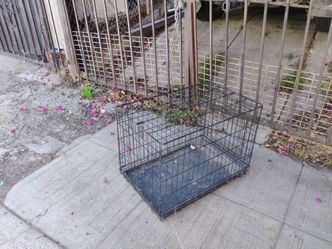 Dog kennel