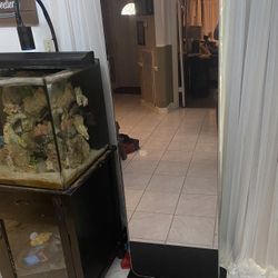 proform vue smart trainer with touchscreen with 22" hd screen 