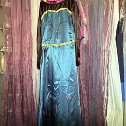 Adult FROZEN Elsa Coronation Dress