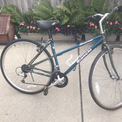 Bianchi  Hybrid  Bike