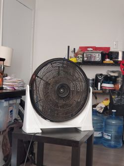 Fan