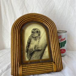 Owl Picture 