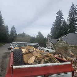 Nice load of fairly dry Maple 