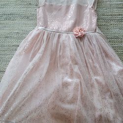 Beautiful Pink Glittery Girls Dress