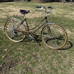 1973 SCHWINN COLLEGIATE