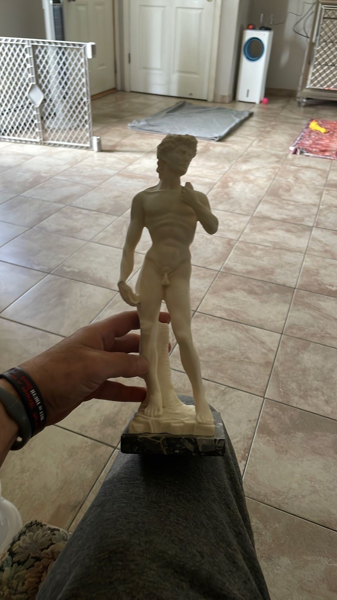 Micheal Angelo David statue