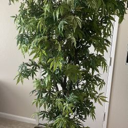 Artificial Maple Tree -6ft Tall $ 85