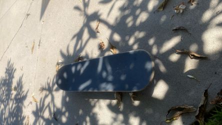 Skateboard