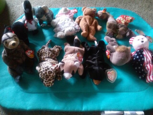 Beanie Baby Collection