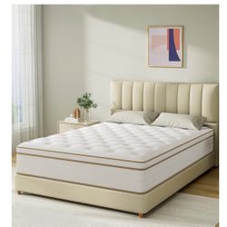 Full Size Mattress  10 Inch