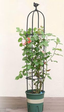 Plant tower