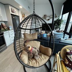 Egg Shaped Hanging Chair 