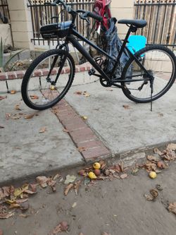 Bicycle 🚲