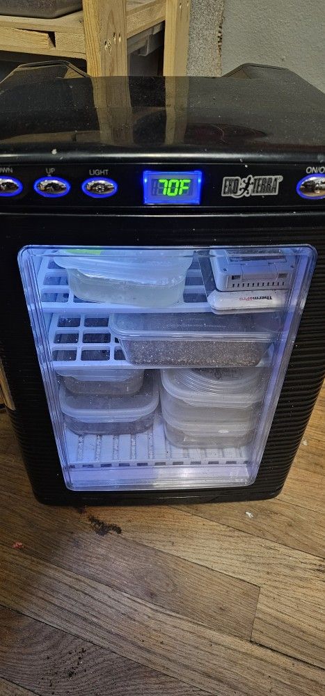 Encubator