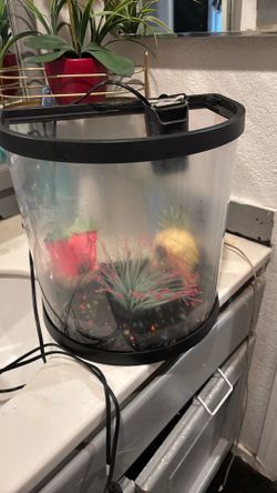 Fish tank