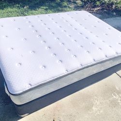 Queen Mattress And Box Spring 