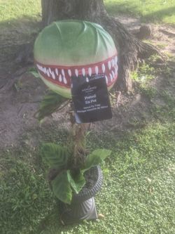 Feed me seymore