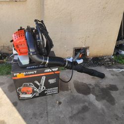 ECHO
216 MPH 517 CFM 58.2cc Gas 2-Stroke Backpack Leaf Blower with Tube Throttle
Questions & Answers (182)