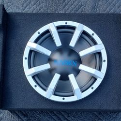 NEW!10″ Subwoofer with  and Built-In Amp 