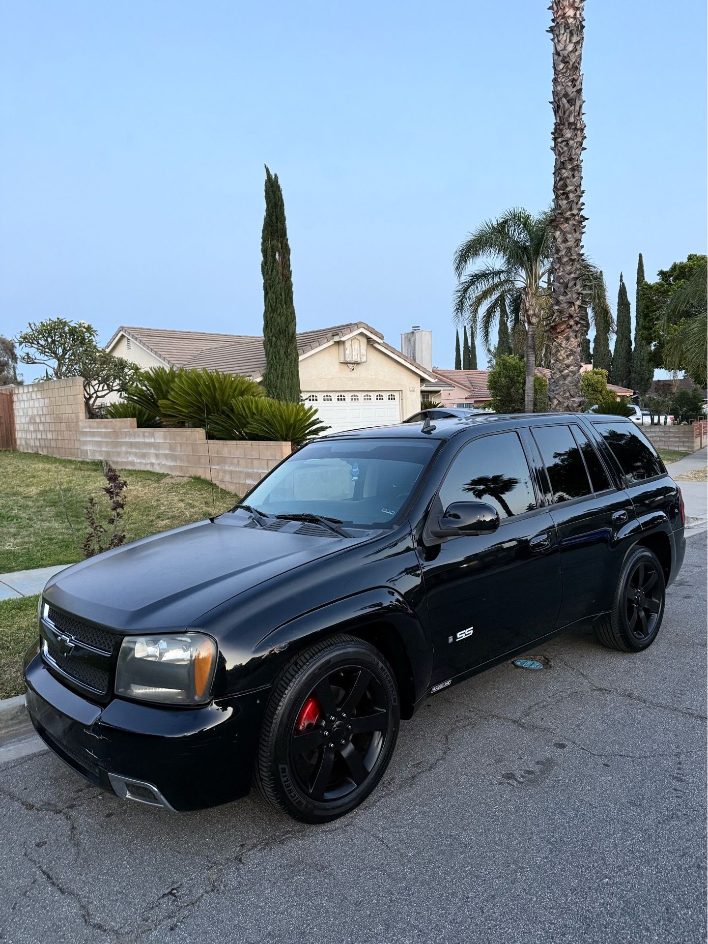 2008 trailblazer ss