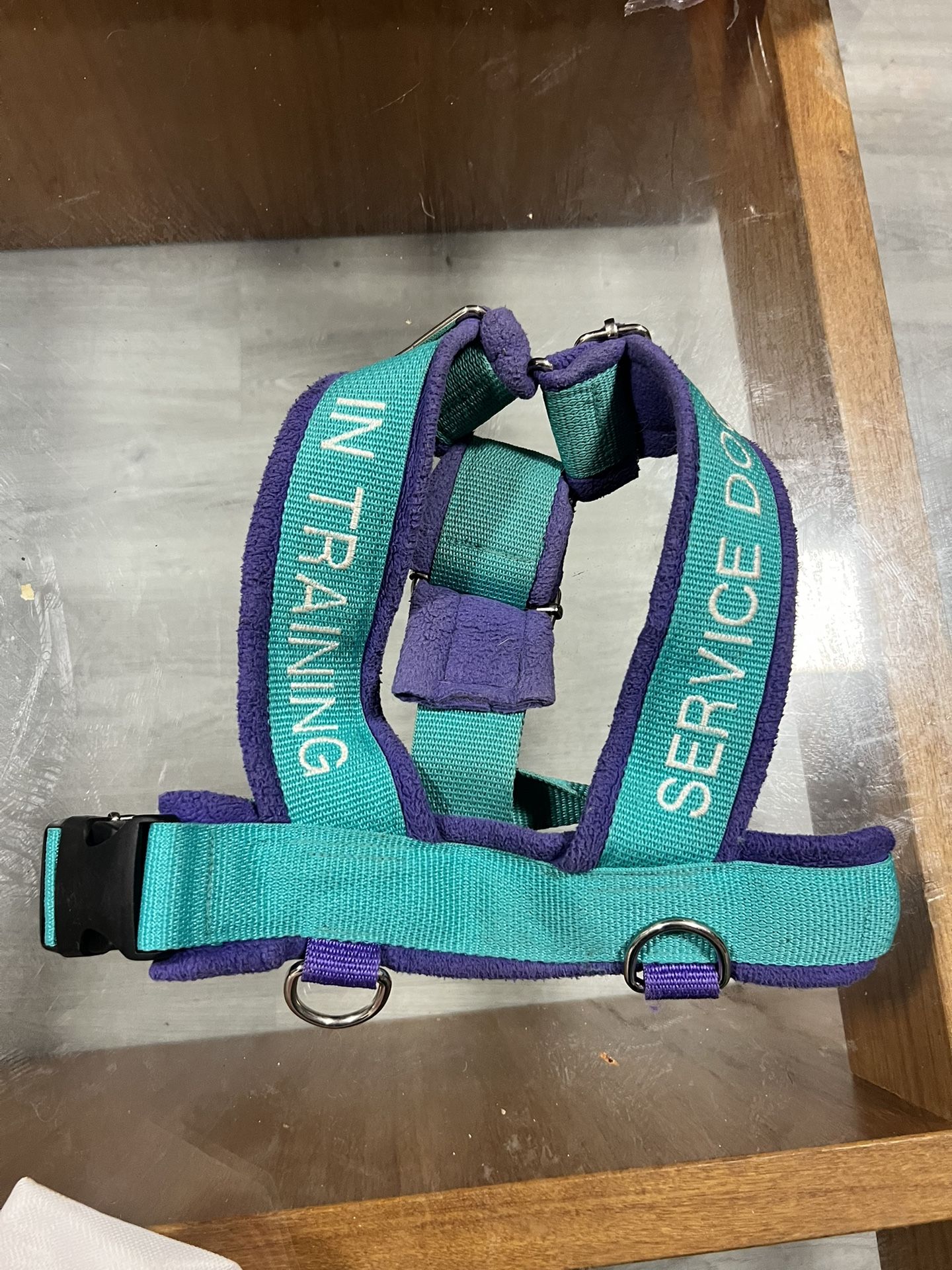 Service Dog In Training Harness