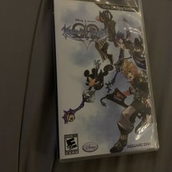 Kingdom Hearts Psp/PlayStation Birth By Sleep