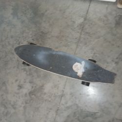 Skate Board 
