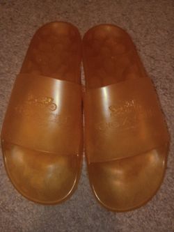 Coach slides