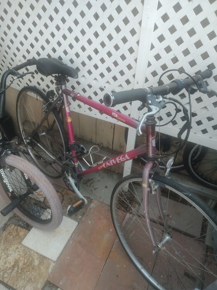 Univega Via Carisma 21 Speed bike