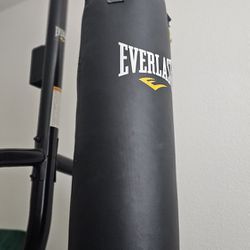 Everlast Dual-Station Heavy Bag and Speed Bag Stand
