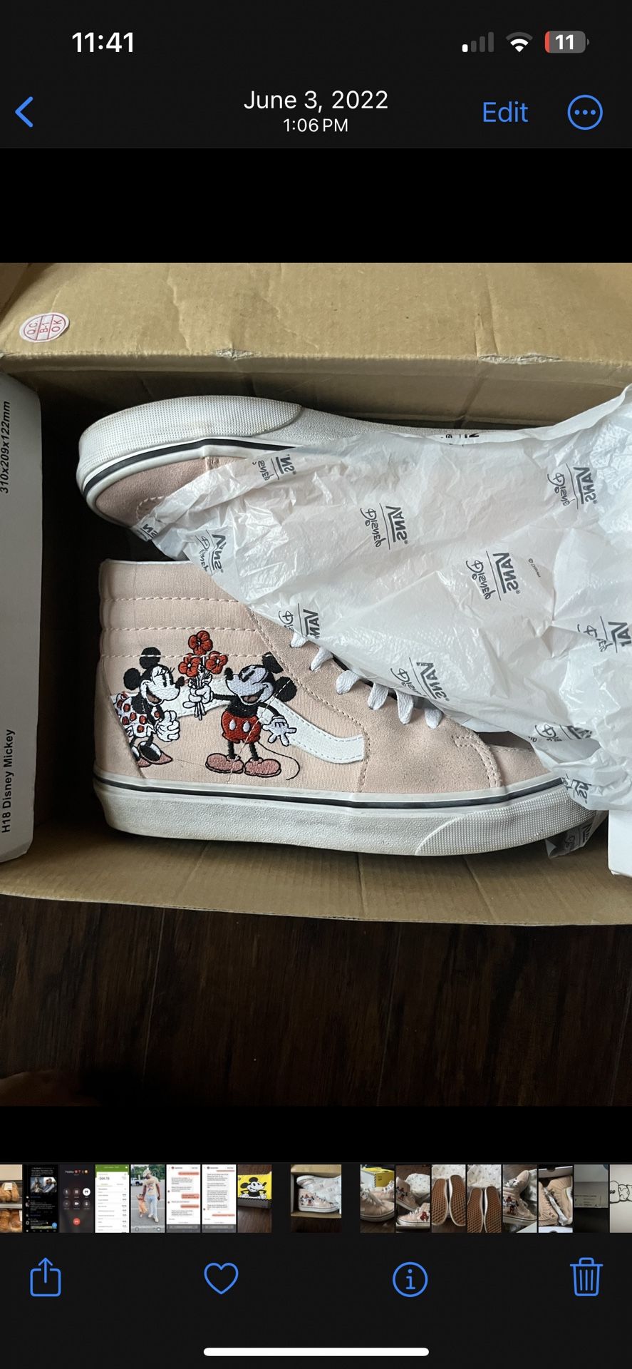 Mickey & Minnie Vans