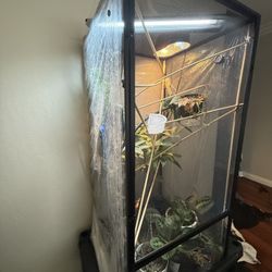 Chameleon Cage With Everything 