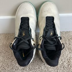 Nike Zoom LeBron NXXT Gen Amped Light Orewood Washed [FJ1566-101]