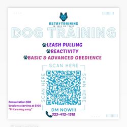Dog Training 