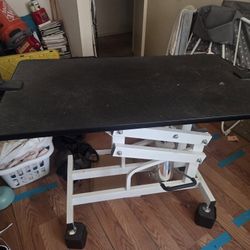Hydraulic Pet Grooming Table 