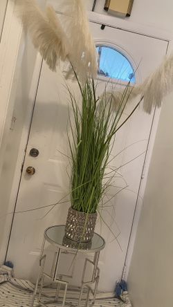 Plant And Vase