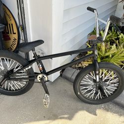SE Professional freestyle BMX Bike