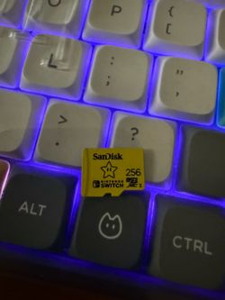 Nintendo 256gb micro sd card
