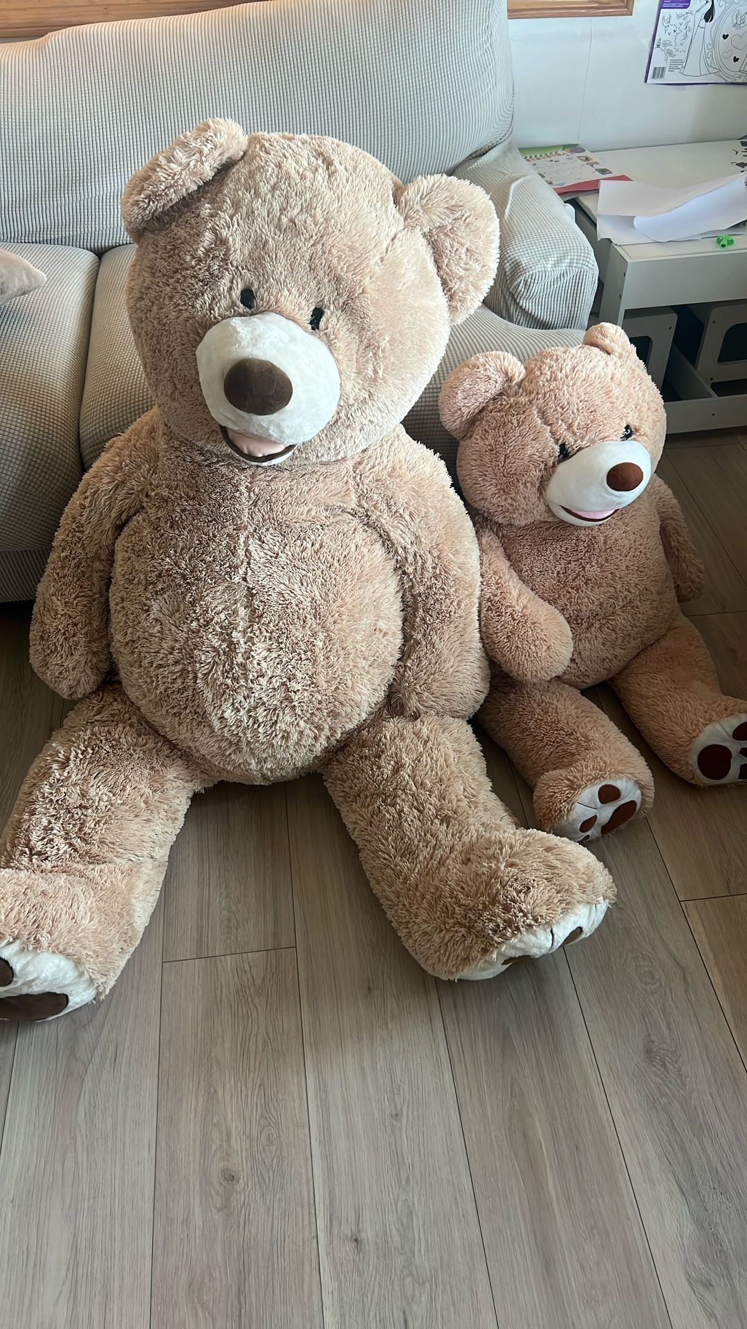 Giant And Medium Teddy Bear