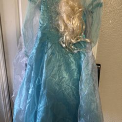 Elsa Princesas Costume 