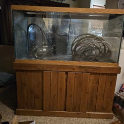 90 Gallon Fish Tank