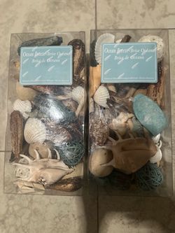 2 boxes of seashells
